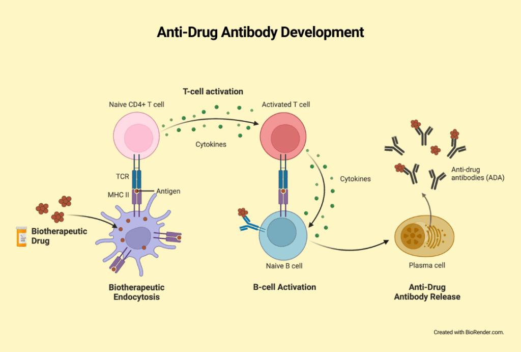 Anti-Drug Antibody / Immunogenicity ELISA - KRISHGEN Biosystems