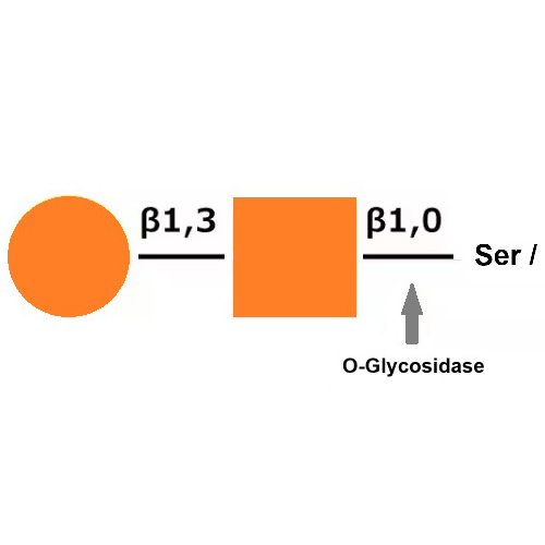 Krishzyme Endo-alpha-N-Acetylgalactosaminidase (O-Glycosidase)