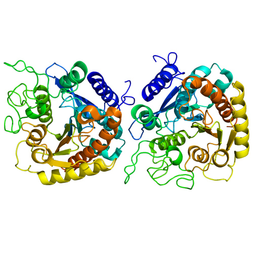 Krishzyme Recombinant Carboxypeptidase B