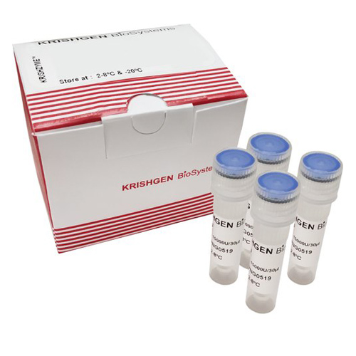 FastNuclease DNase I (RNase-free, Protease-free)