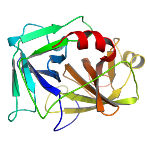 Krishzyme Recombinant Enterokinase